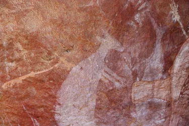Canguro blanco